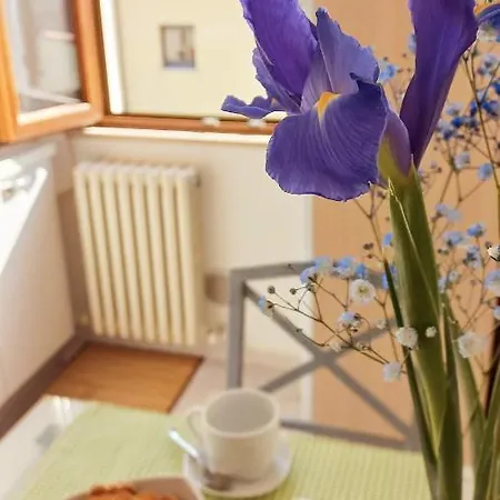 Casa Lilly Apartment Porto SantʼElpidio